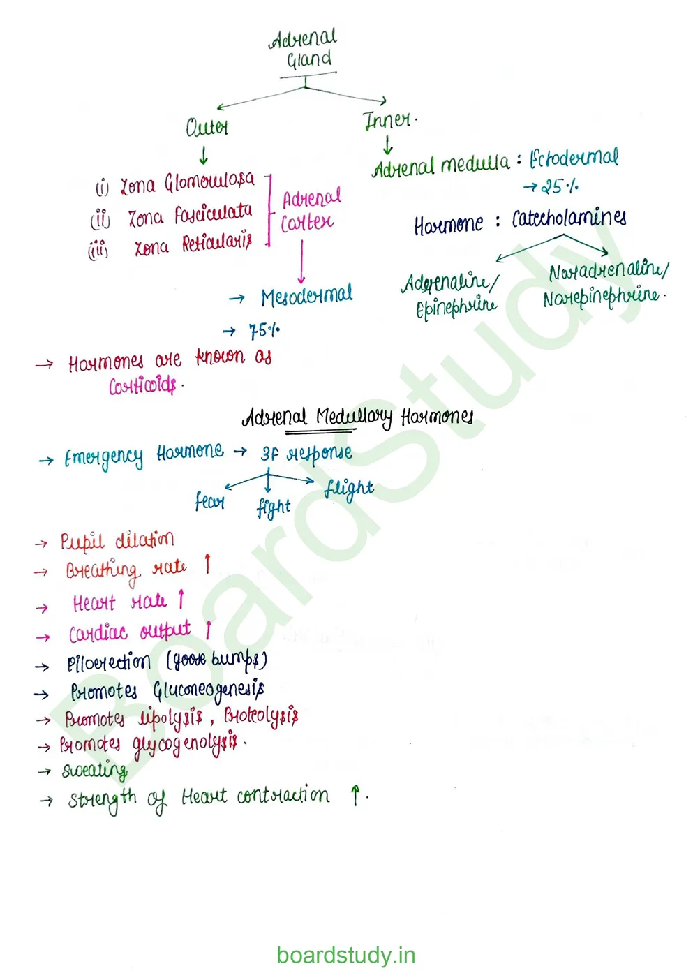 chemical control & coordination_page-0018