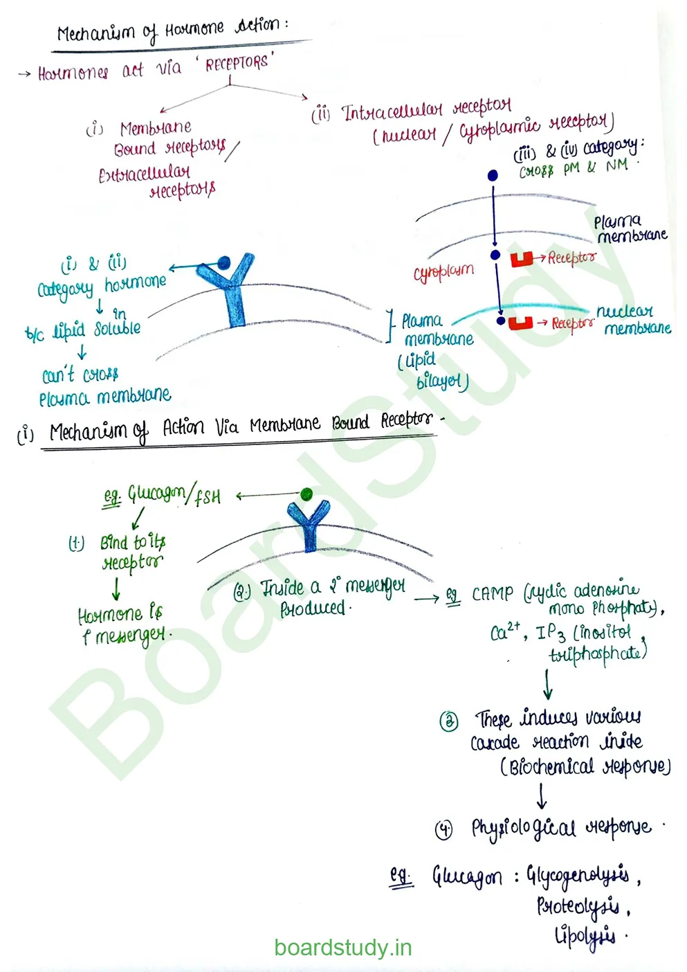 chemical control & coordination_page-0025