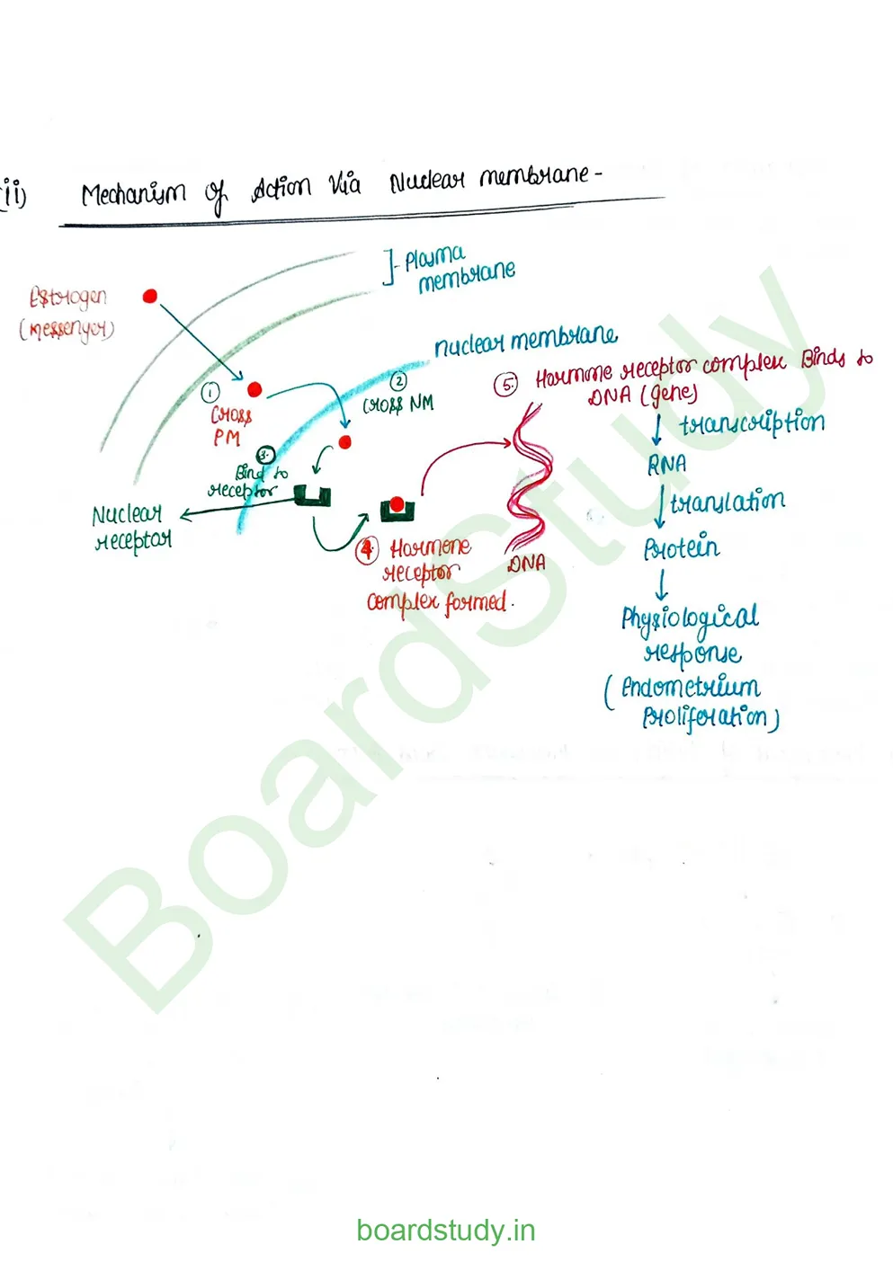 chemical control & coordination_page-0026