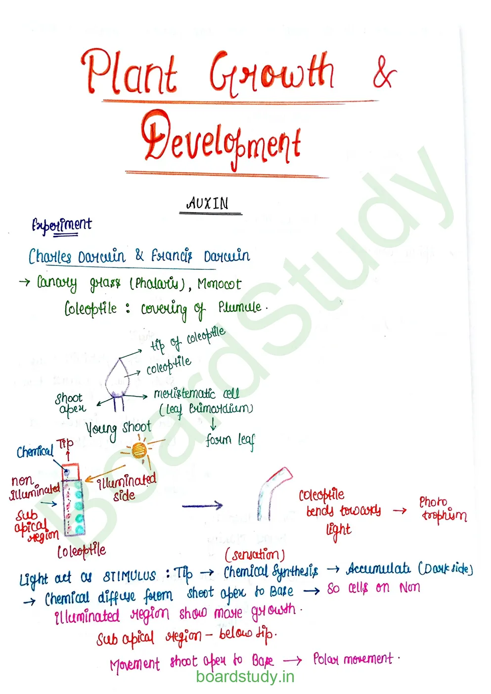 plant growth and developments_page-0001