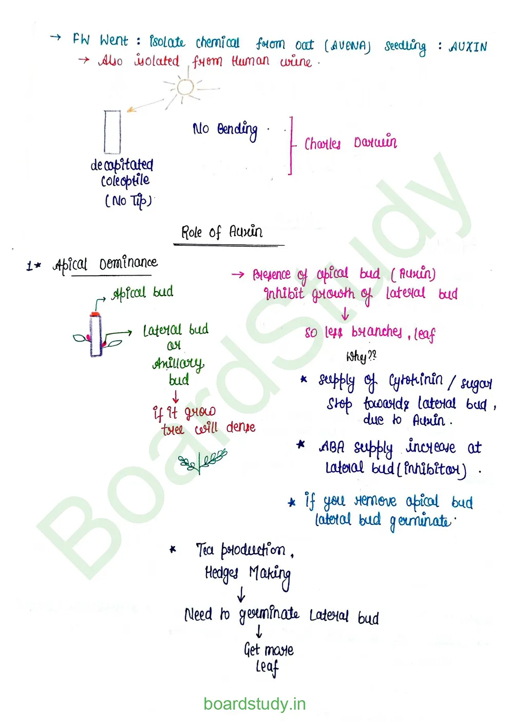 plant growth and developments_page-0002