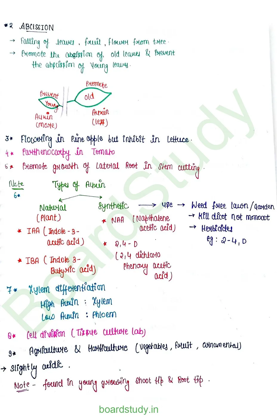 plant growth and developments_page-0003