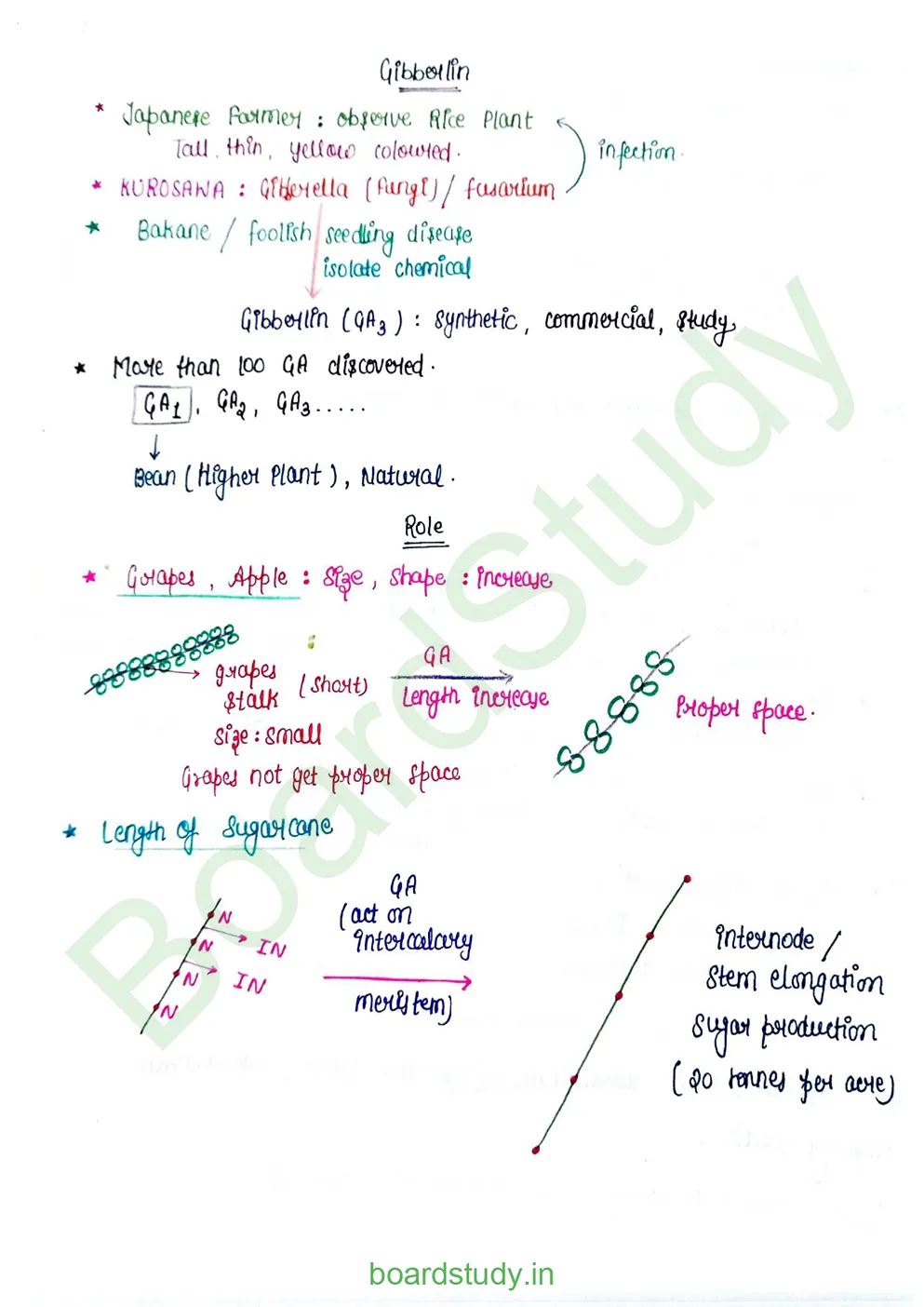 plant growth and developments_page-0004