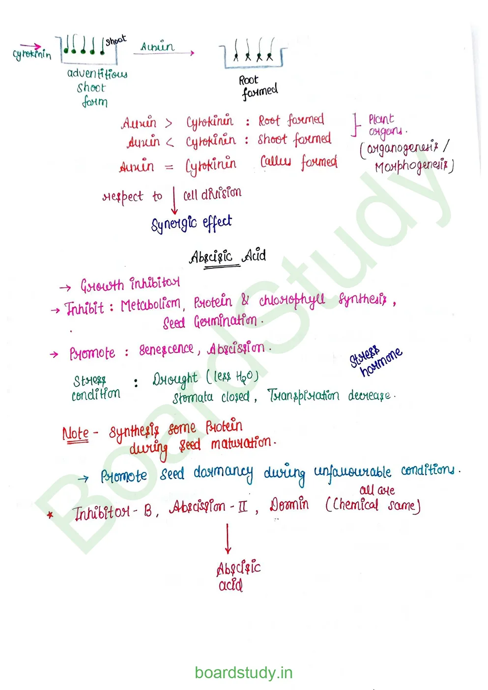 plant growth and developments_page-0007