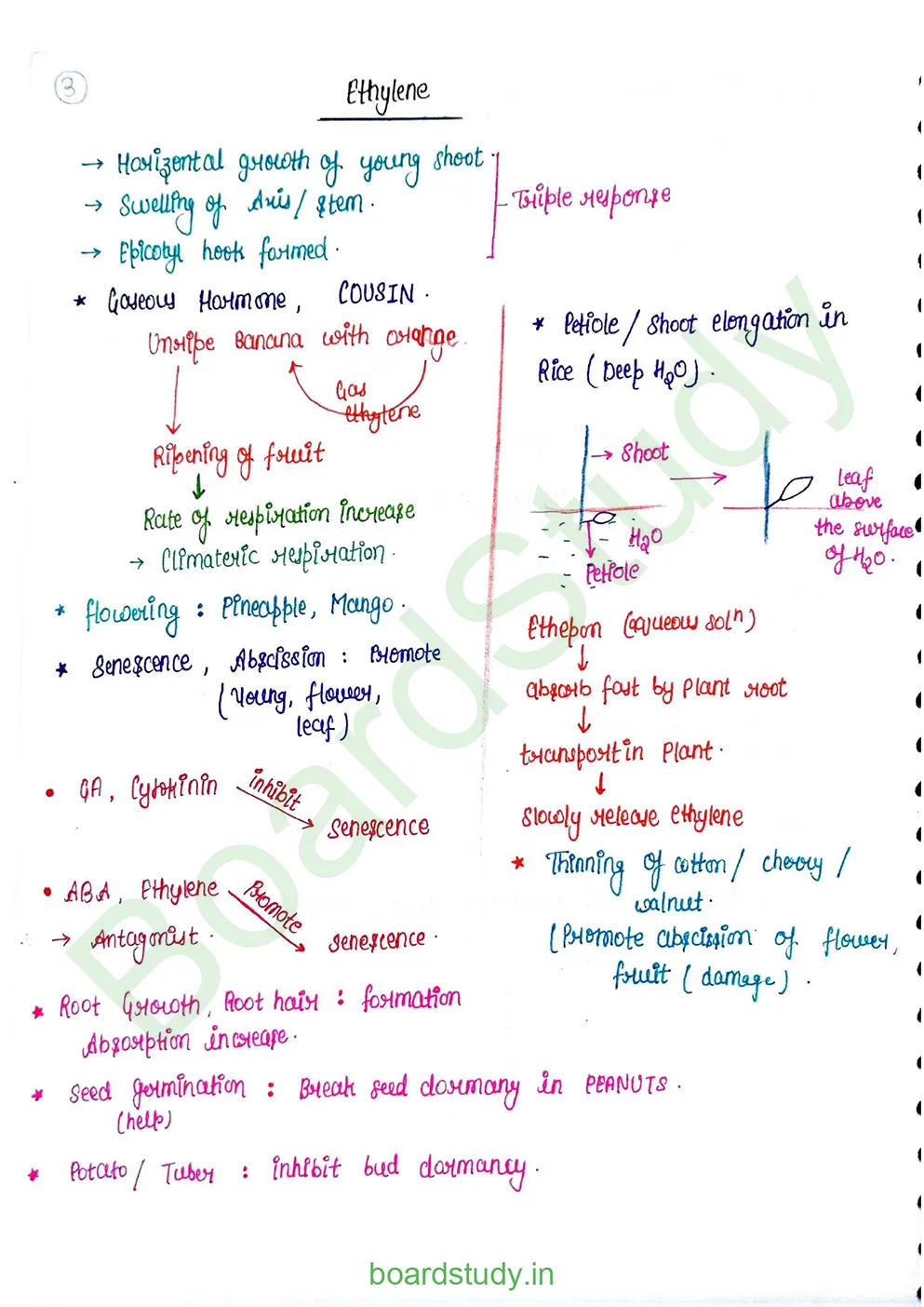 plant growth and developments_page-0008