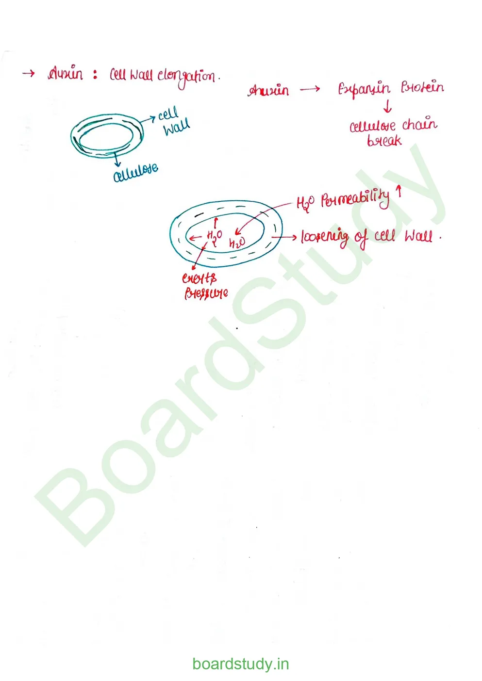 plant growth and developments_page-0010