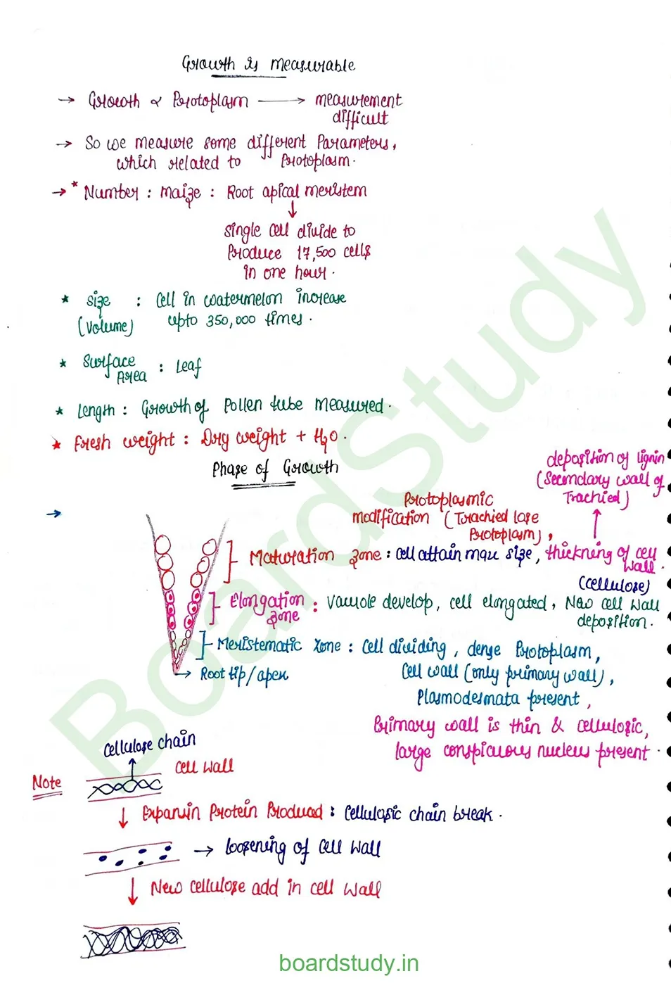 plant growth and developments_page-0012