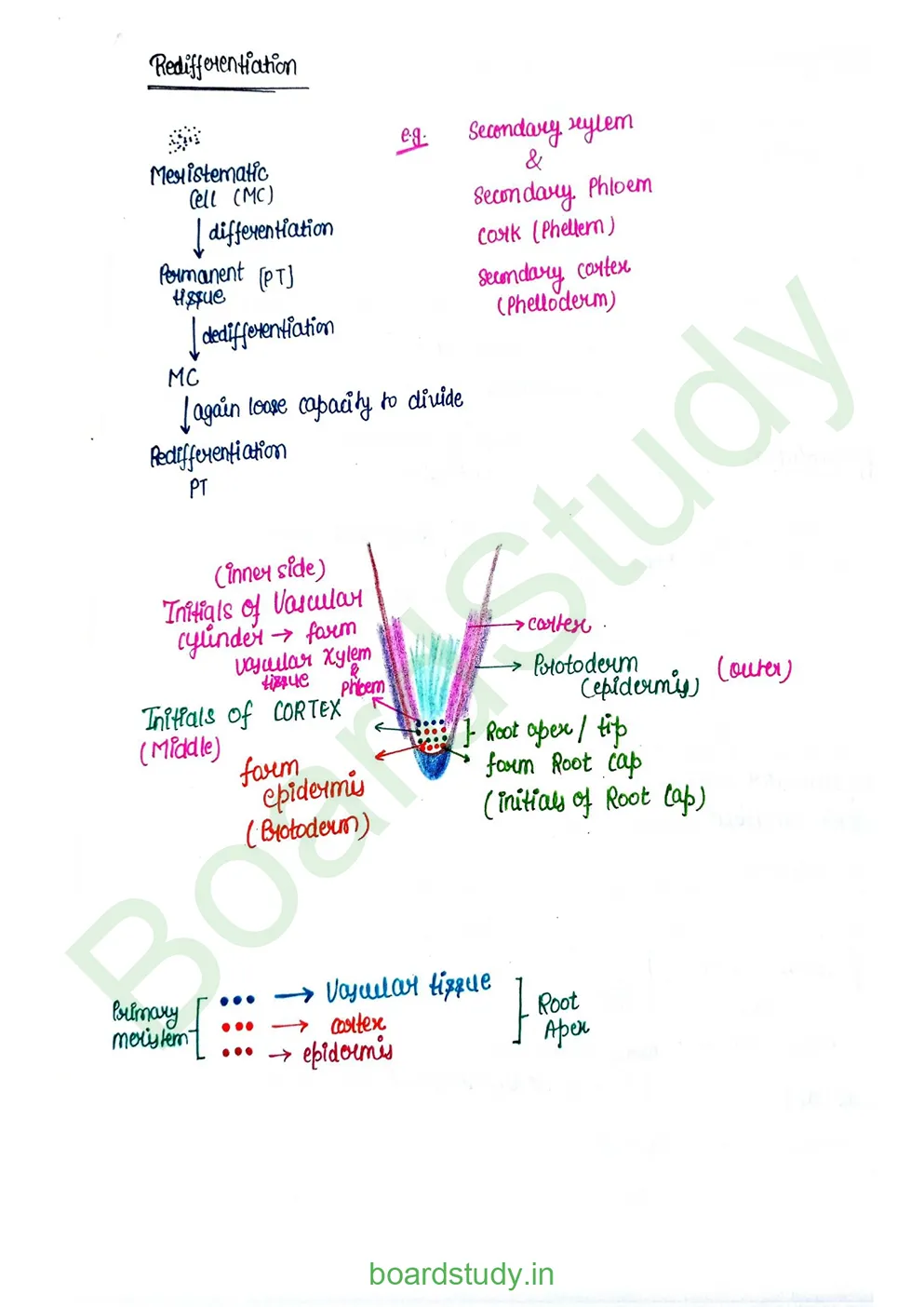 plant growth and developments_page-0014