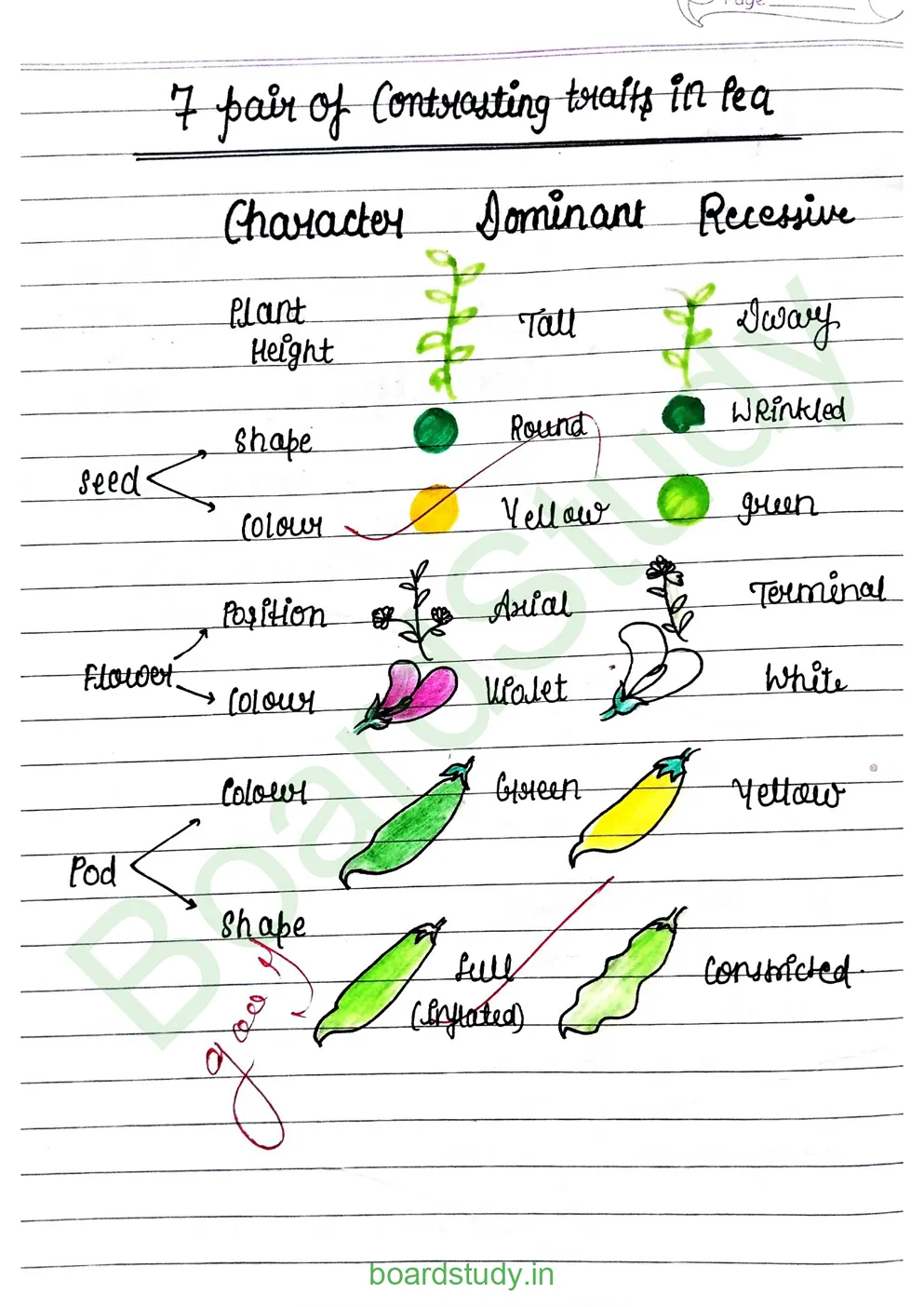 principal of inheritance and variations_page-0002
