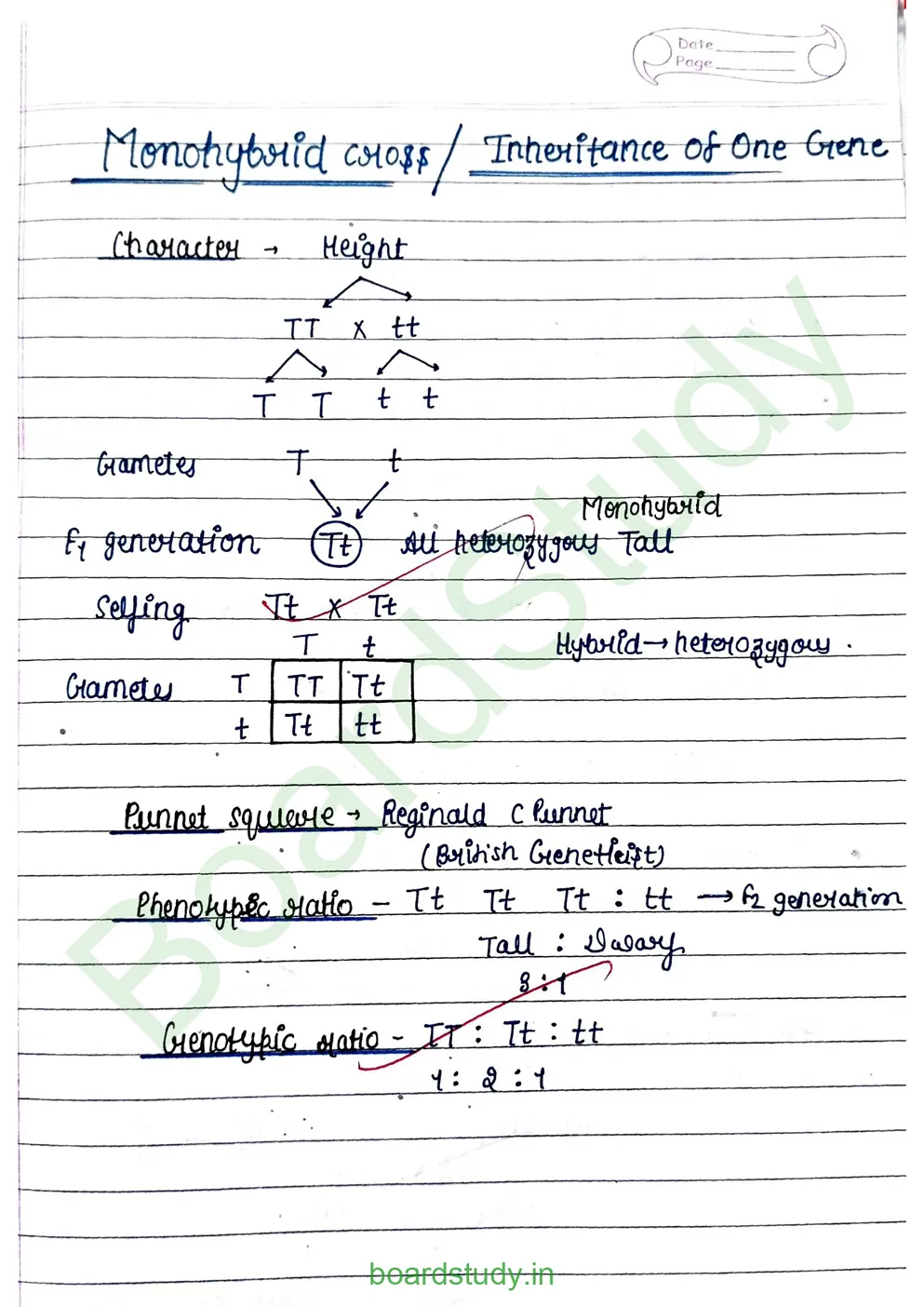 principal of inheritance and variations_page-0003