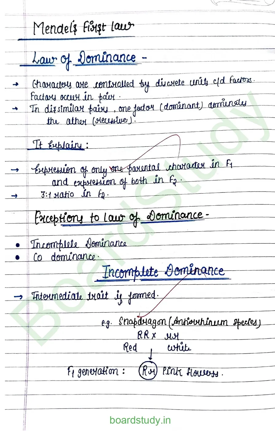 principal of inheritance and variations_page-0004