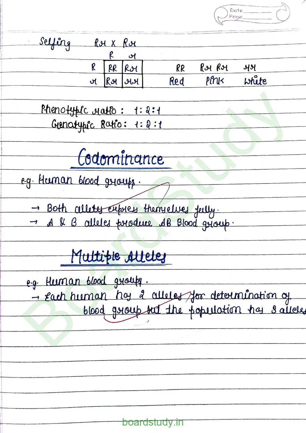 principal of inheritance and variations_page-0005