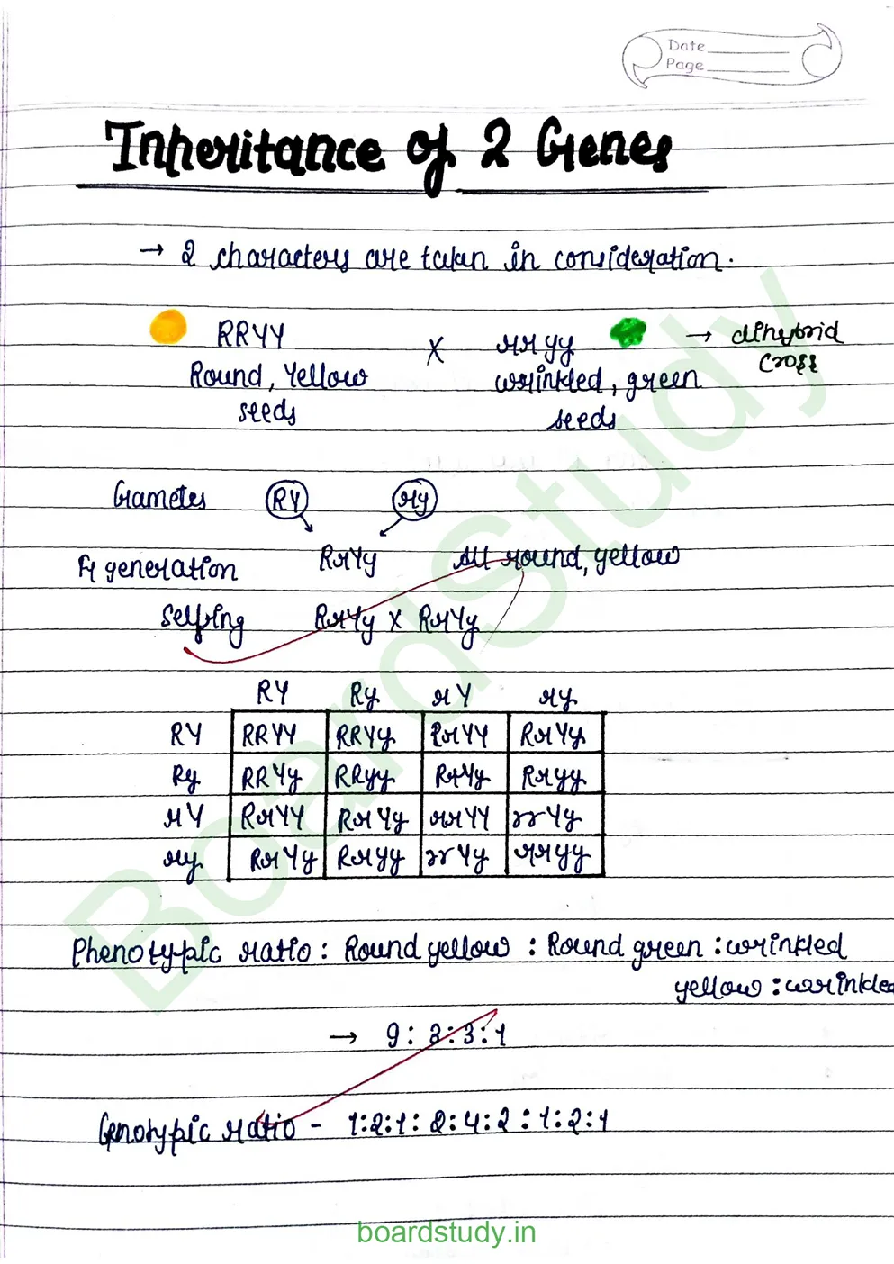 principal of inheritance and variations_page-0007