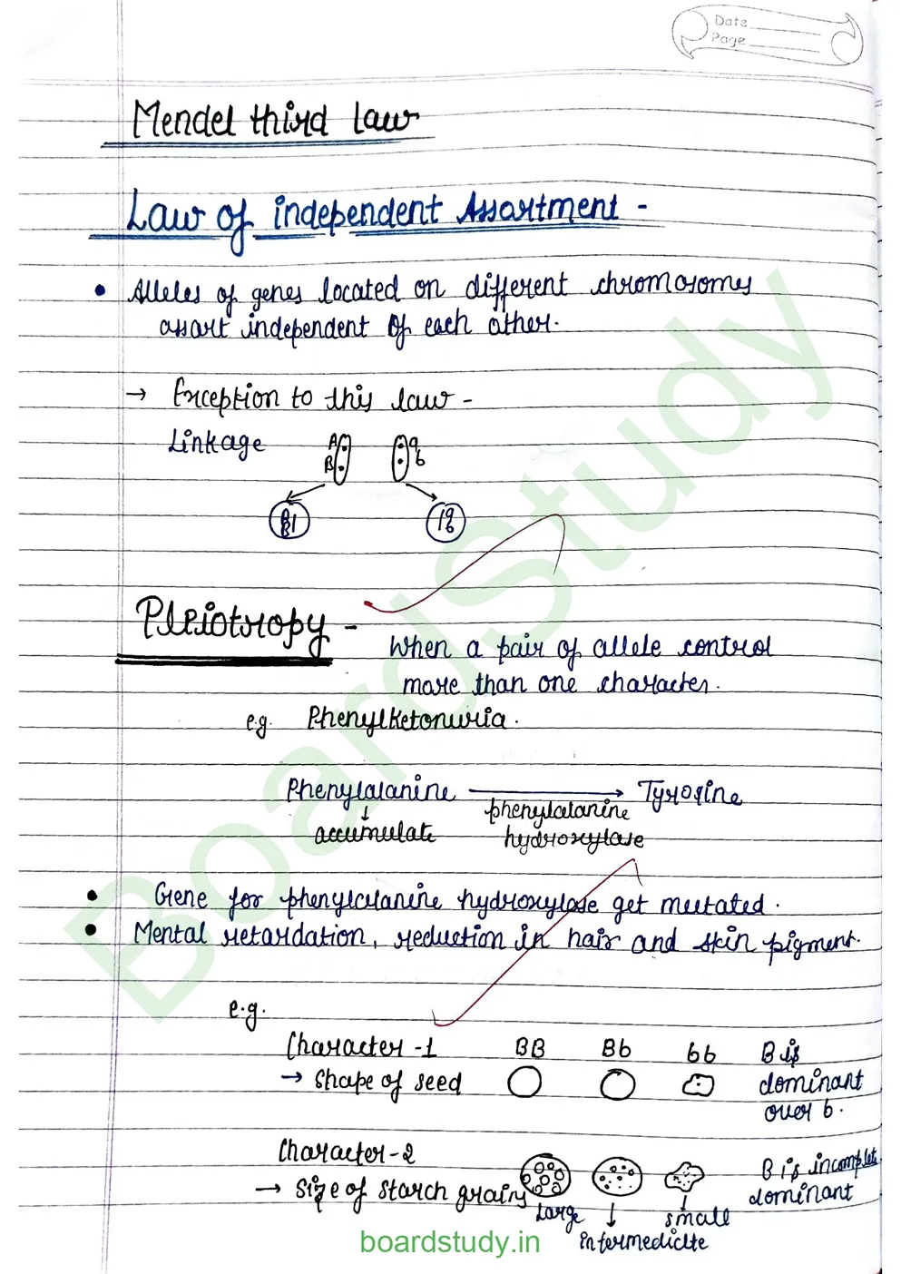 principal of inheritance and variations_page-0008