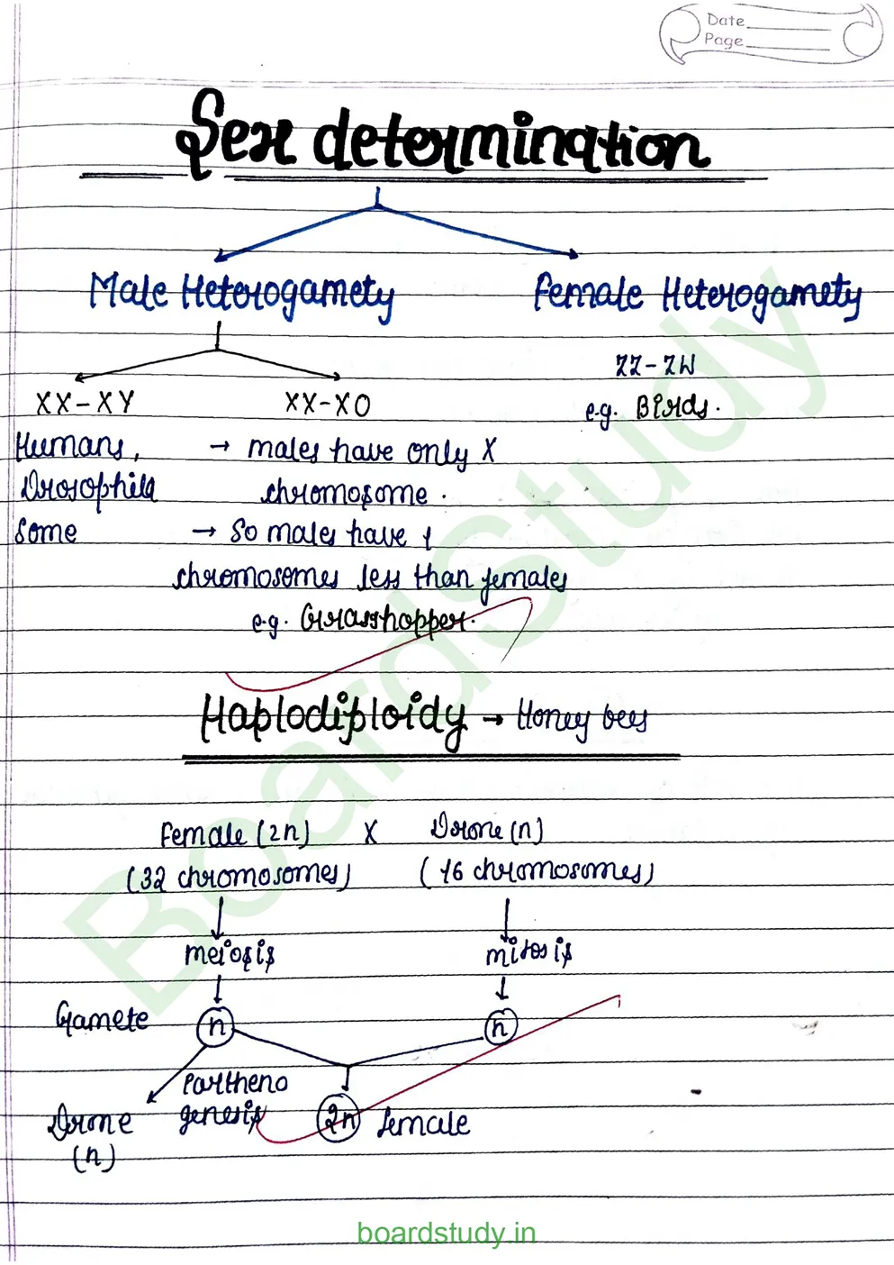 principal of inheritance and variations_page-0011