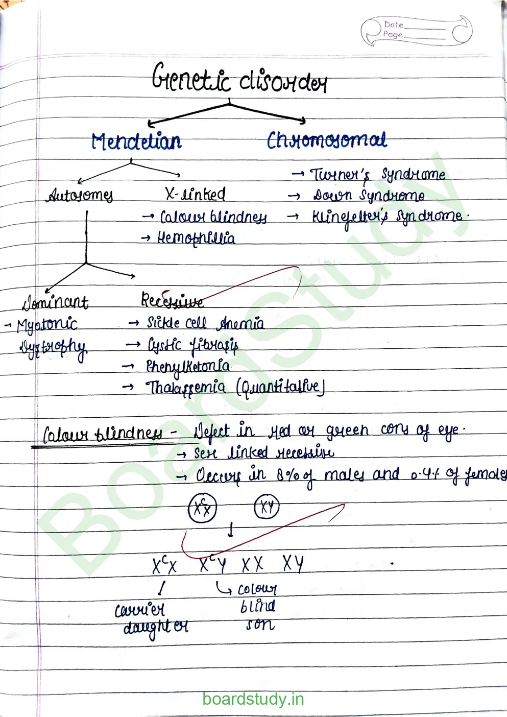 principal of inheritance and variations_page-0013