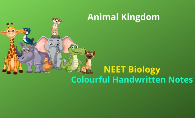 Animal Kingdom NEET Biology Notes