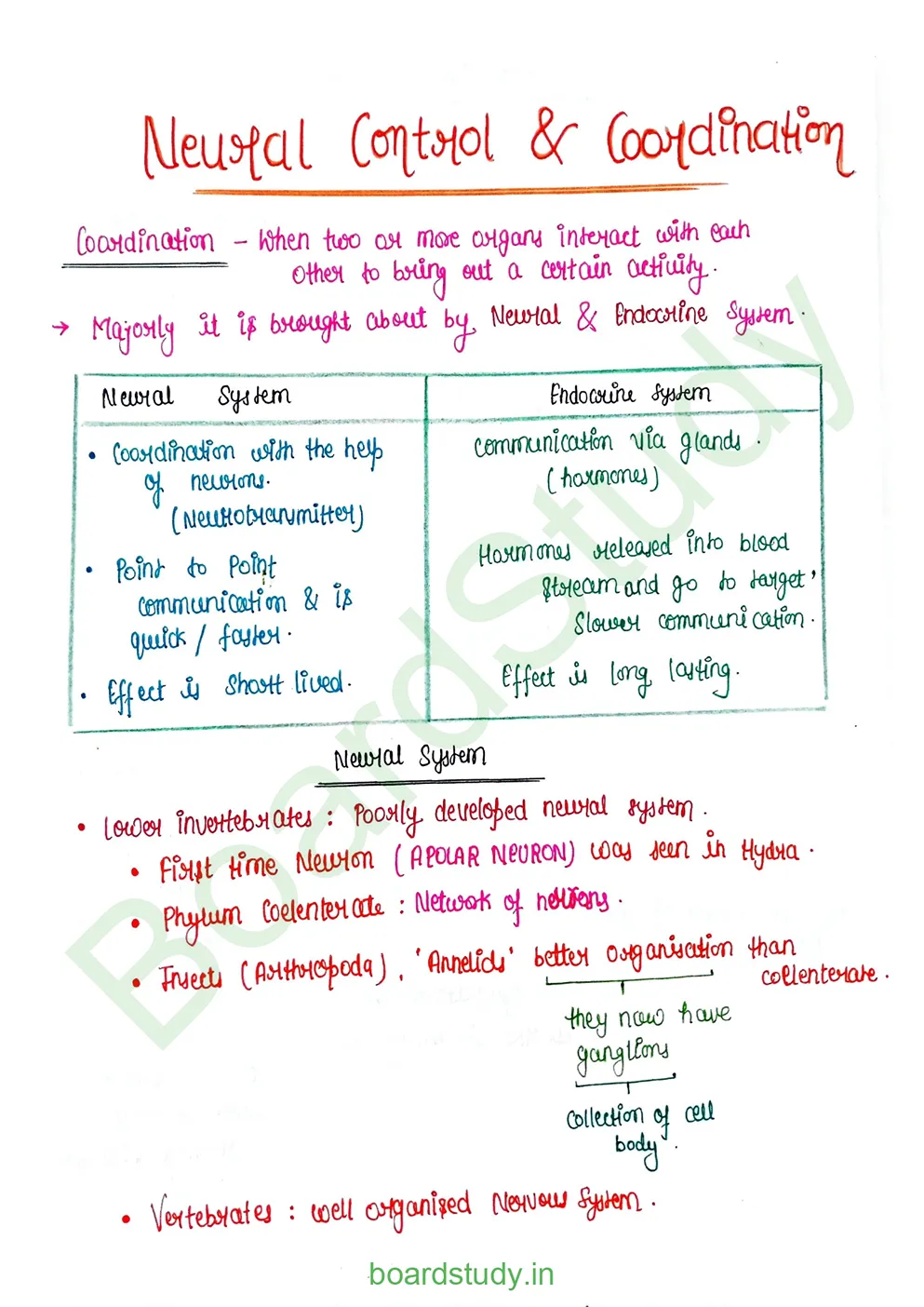 Neural Control and Coordination Notes_page-0001