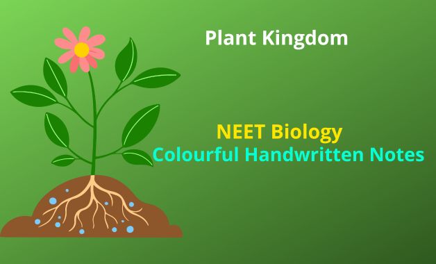 Plant Kingdom NEET Biology Notes
