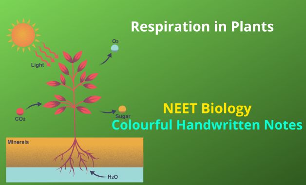 Respiration-in-Plants-NEET-Biology-Notes