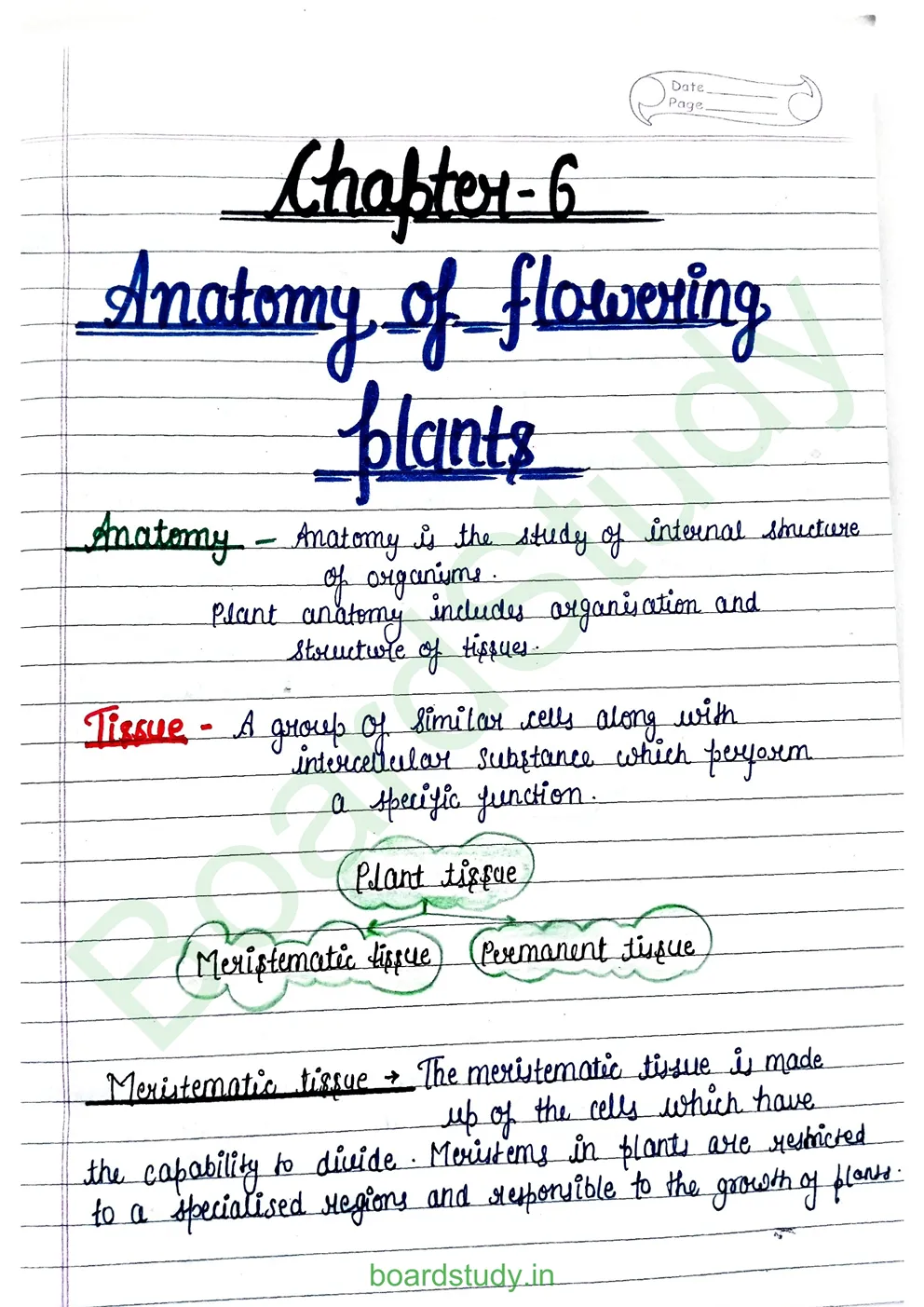 anatomy-of-flowering-plants-1