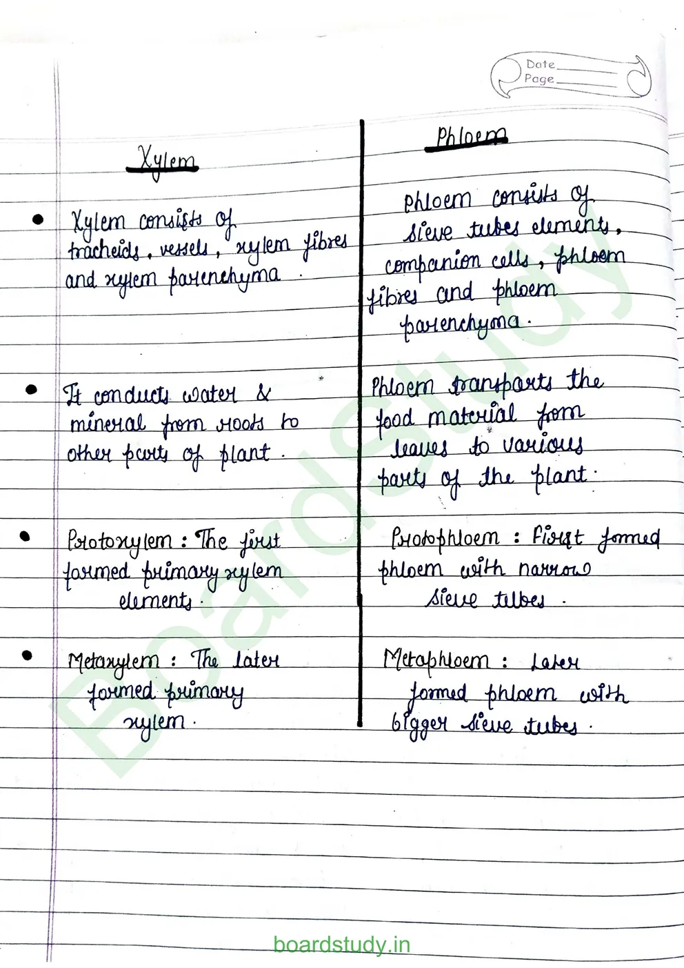 anatomy-of-flowering-plants-4