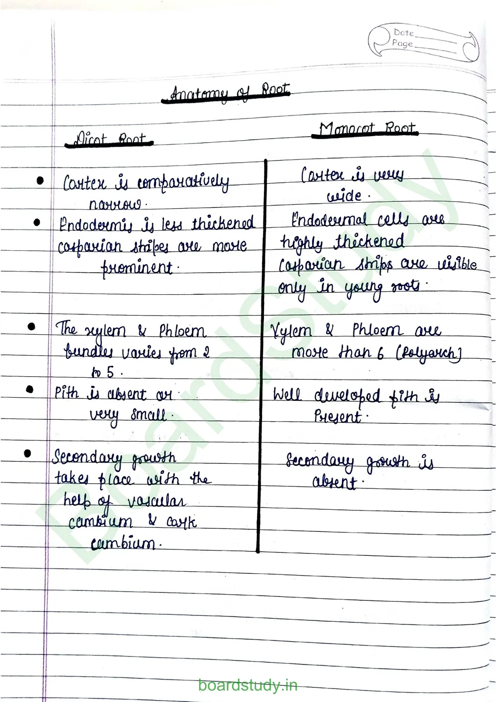anatomy-of-flowering-plants-6