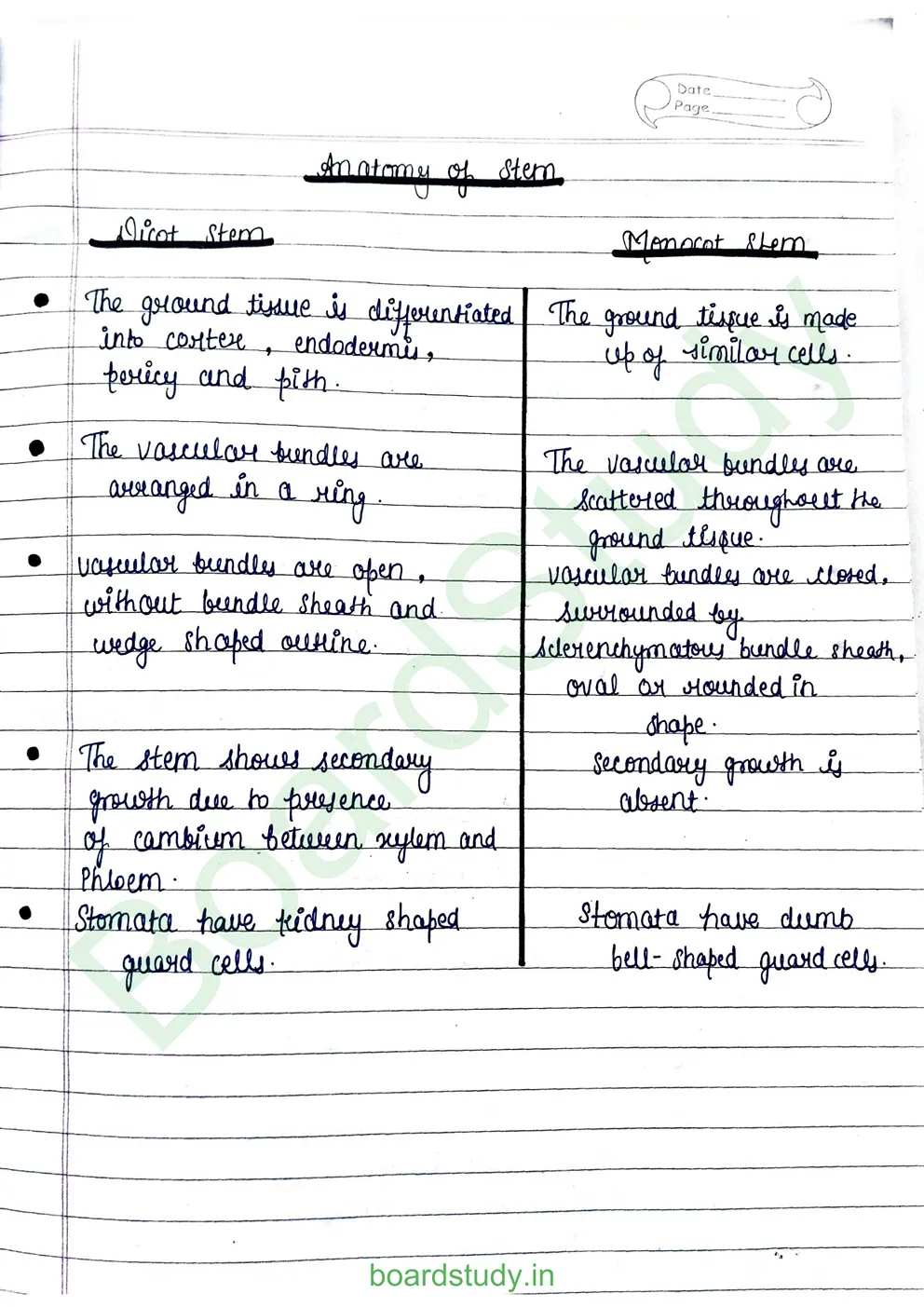 anatomy-of-flowering-plants-7