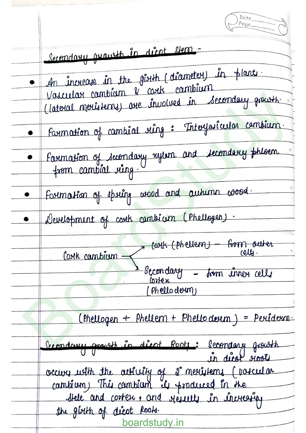 anatomy-of-flowering-plants-8