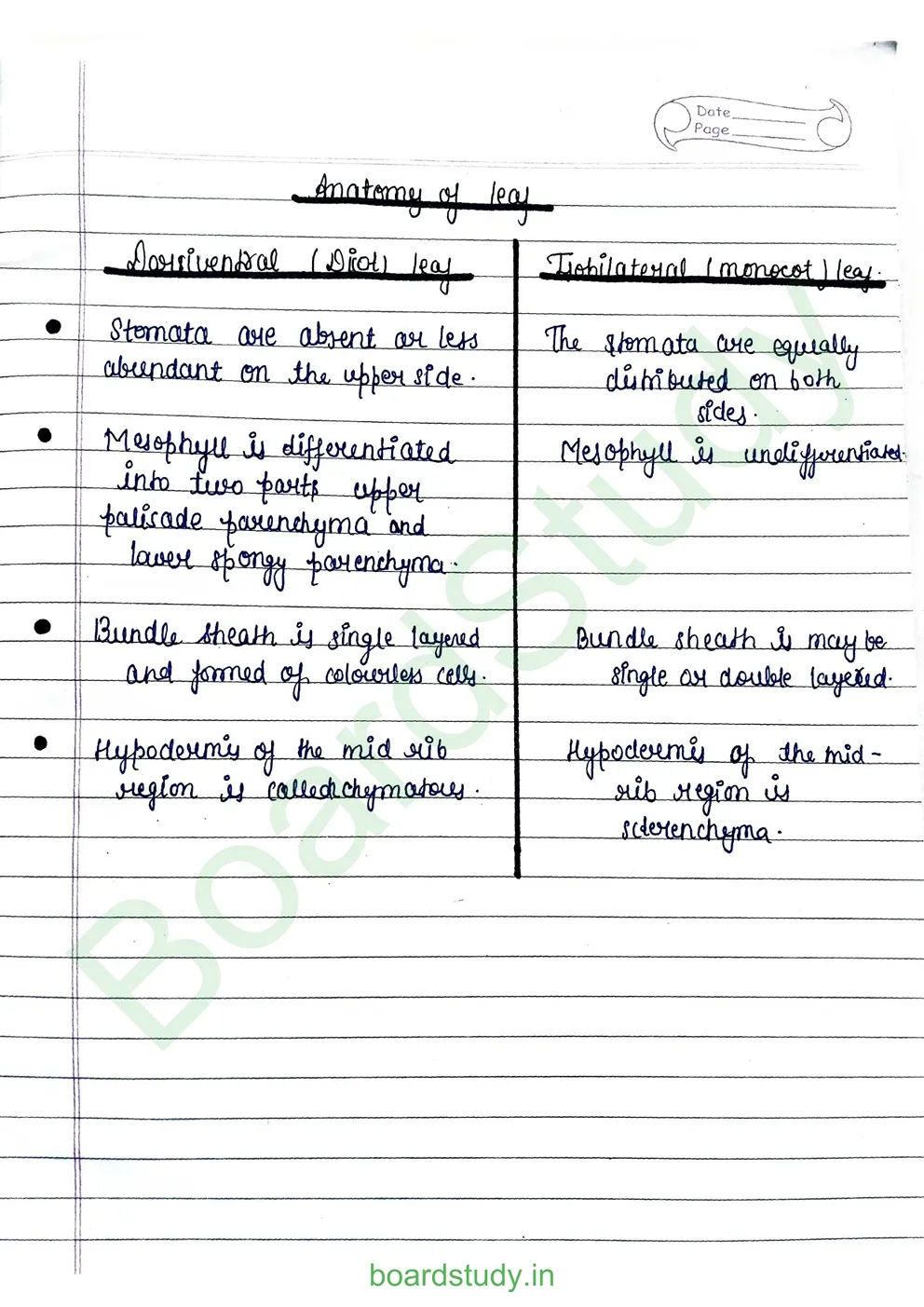 anatomy-of-flowering-plants-9