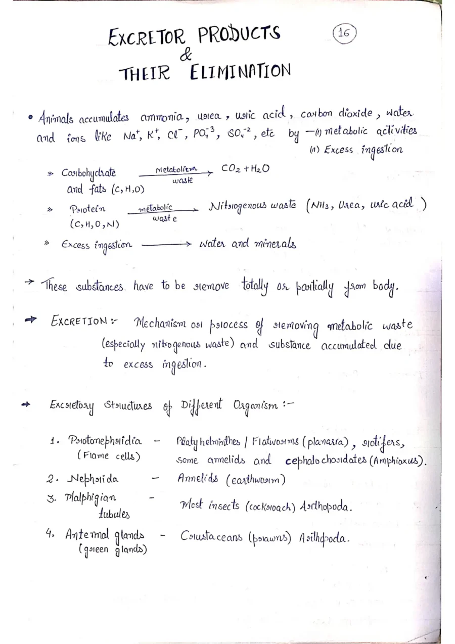 Class 11 Biology Notes PDF Download 2025-2026 (Topper's Handwritten Notes) - Image 4
