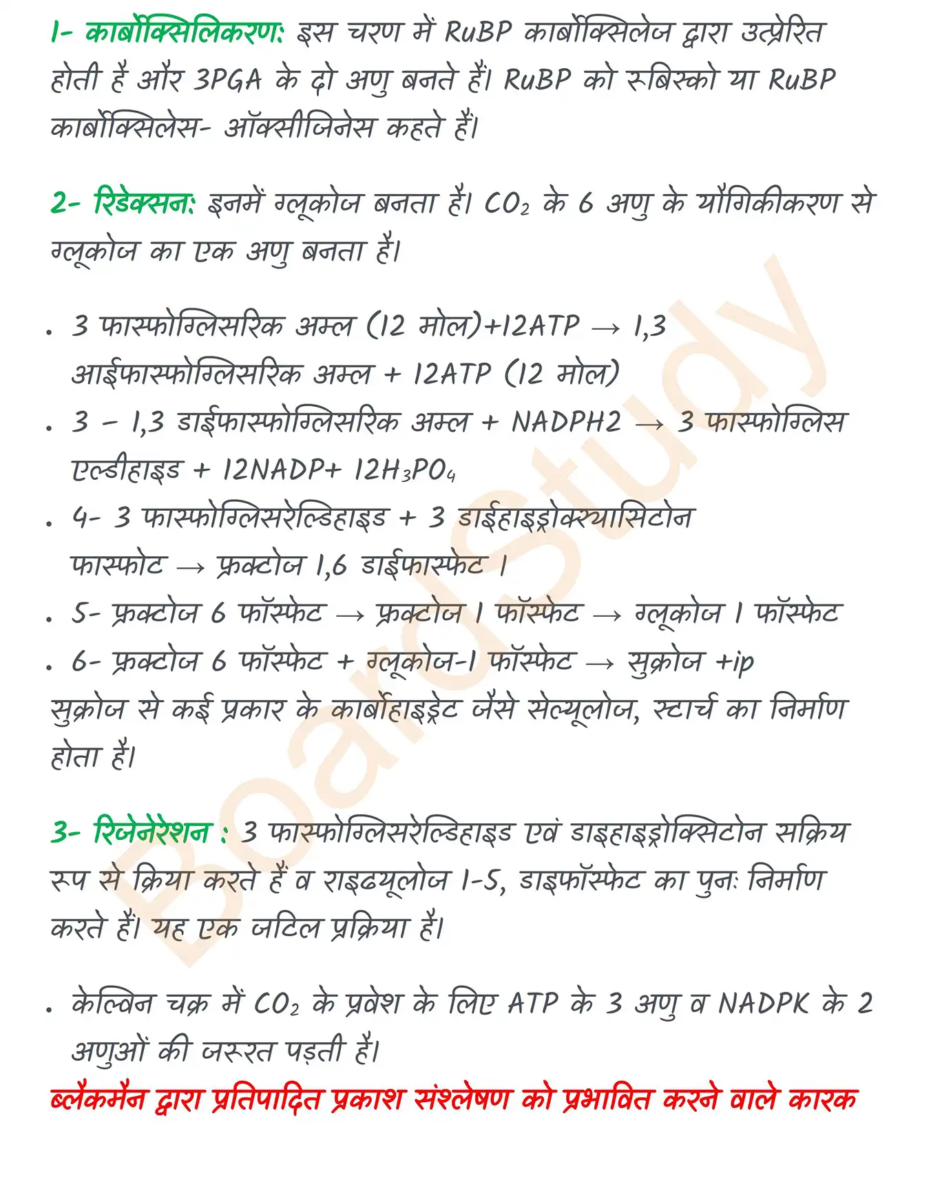 Chapter 11 Notes in Hindi उच्च पादपों में प्रकाश संश्लेषण_page-0006
