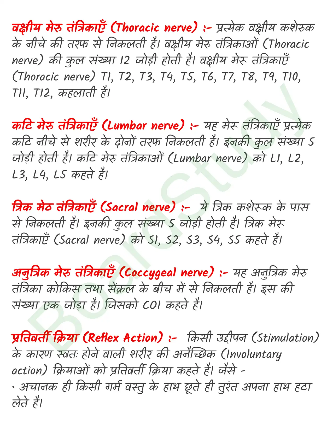 Chapter 18 Notes in Hindi तंत्रिकीय_नियंत्रण_एवं_समन्वय_page-0005