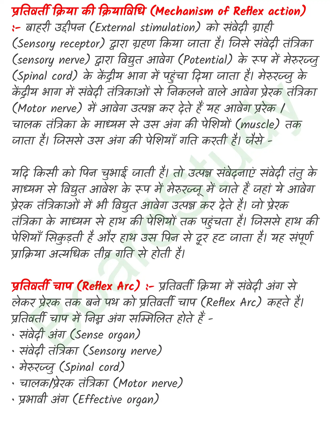 Chapter 18 Notes in Hindi तंत्रिकीय_नियंत्रण_एवं_समन्वय_page-0007