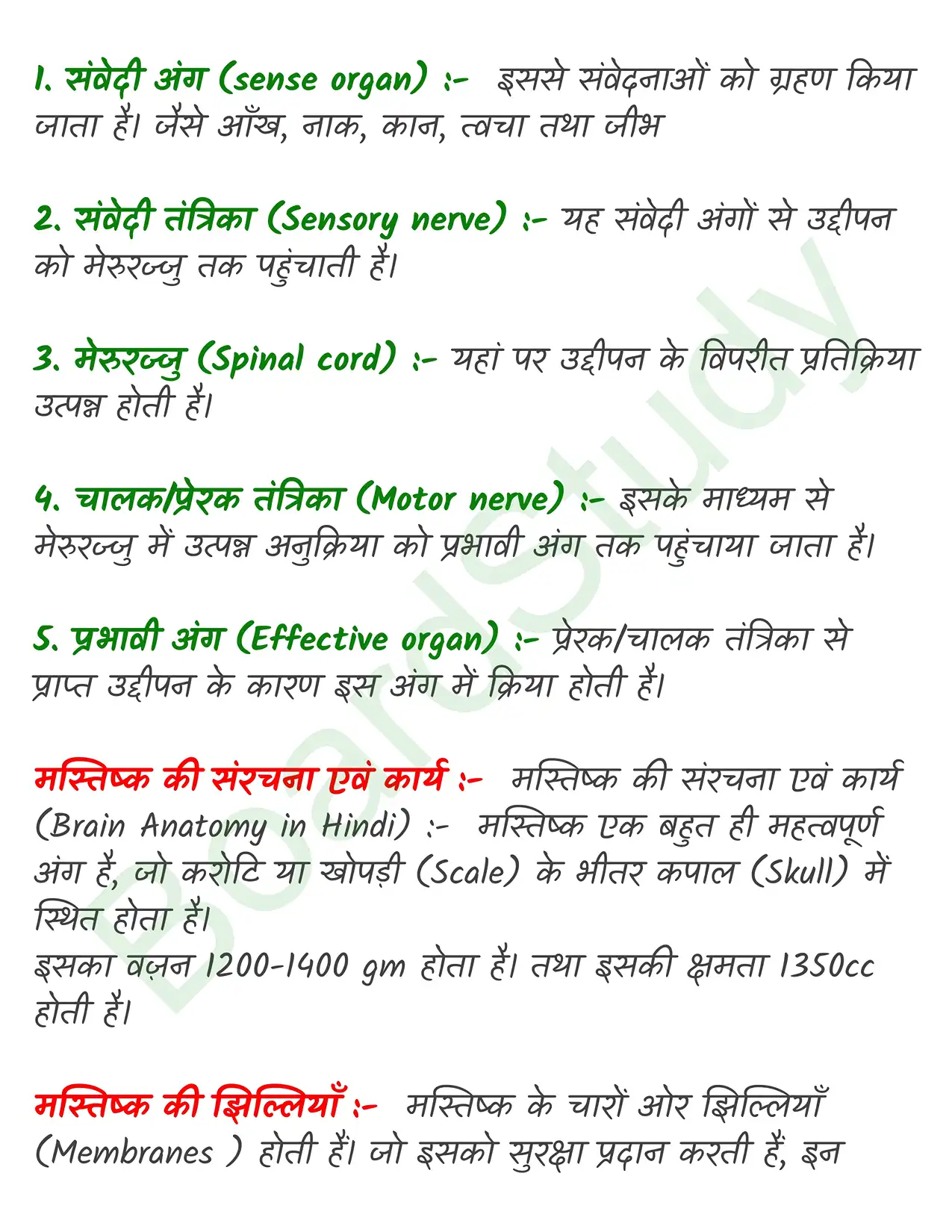 Chapter 18 Notes in Hindi तंत्रिकीय_नियंत्रण_एवं_समन्वय_page-0008