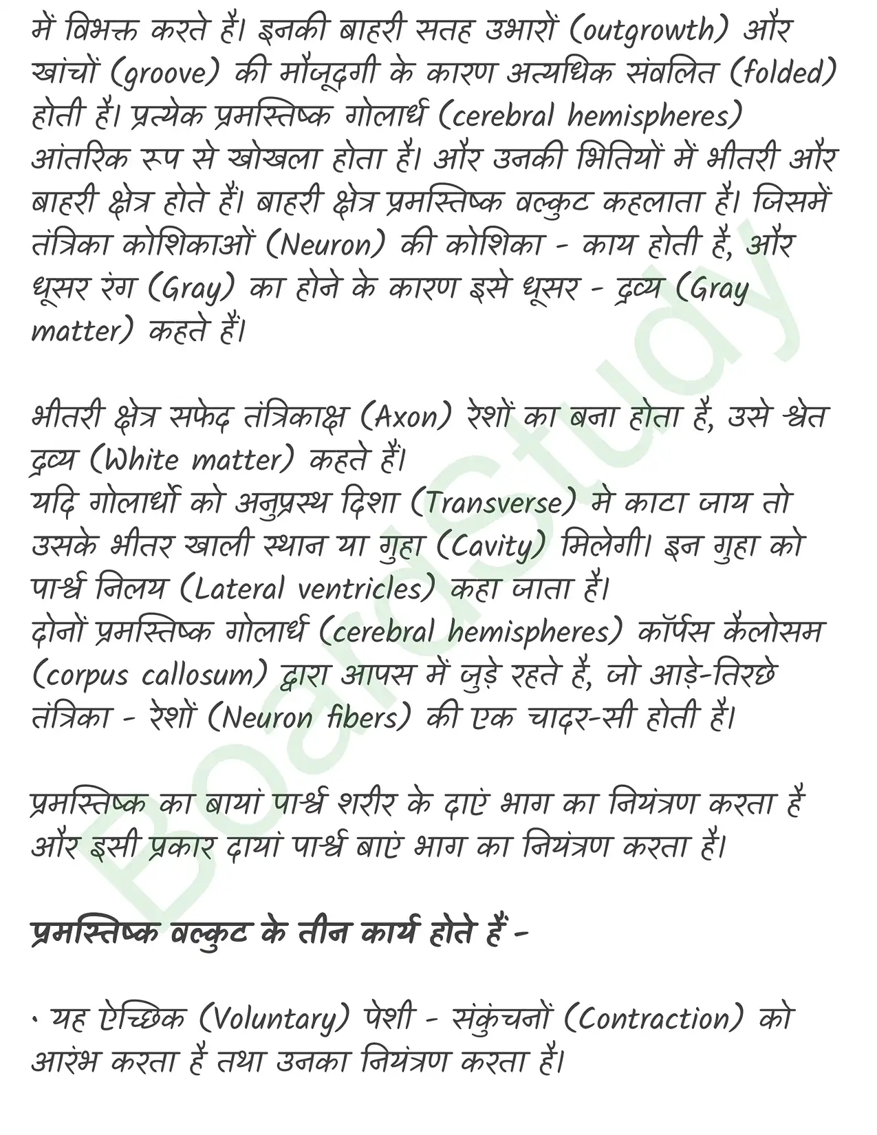 Chapter 18 Notes in Hindi तंत्रिकीय_नियंत्रण_एवं_समन्वय_page-0011