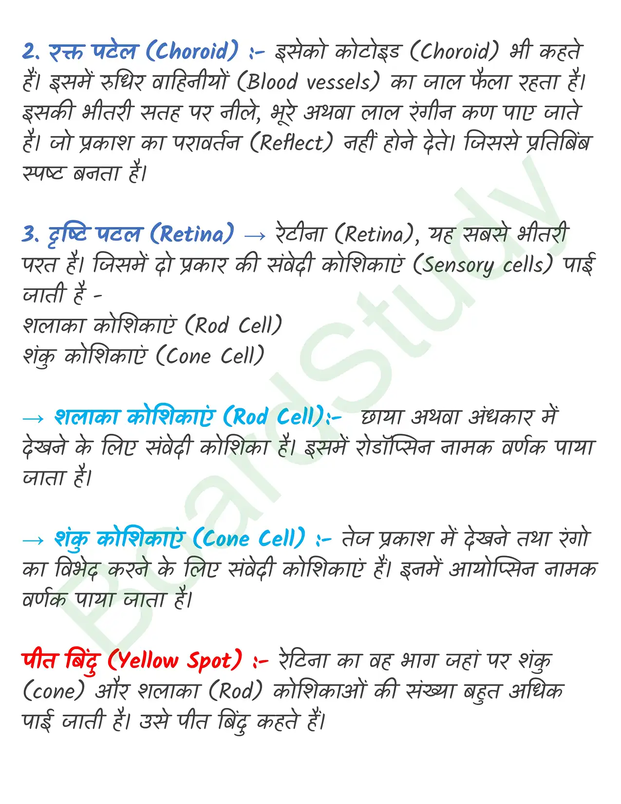 Chapter 18 Notes in Hindi तंत्रिकीय_नियंत्रण_एवं_समन्वय_page-0016