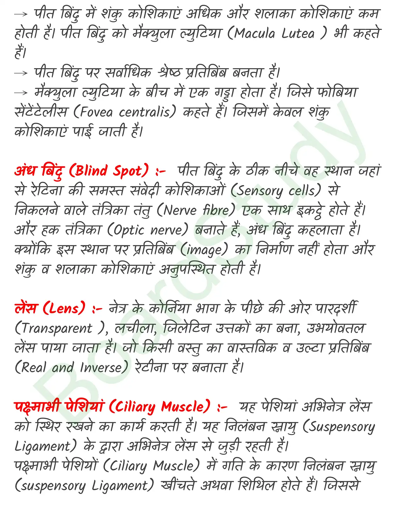 Chapter 18 Notes in Hindi तंत्रिकीय_नियंत्रण_एवं_समन्वय_page-0017