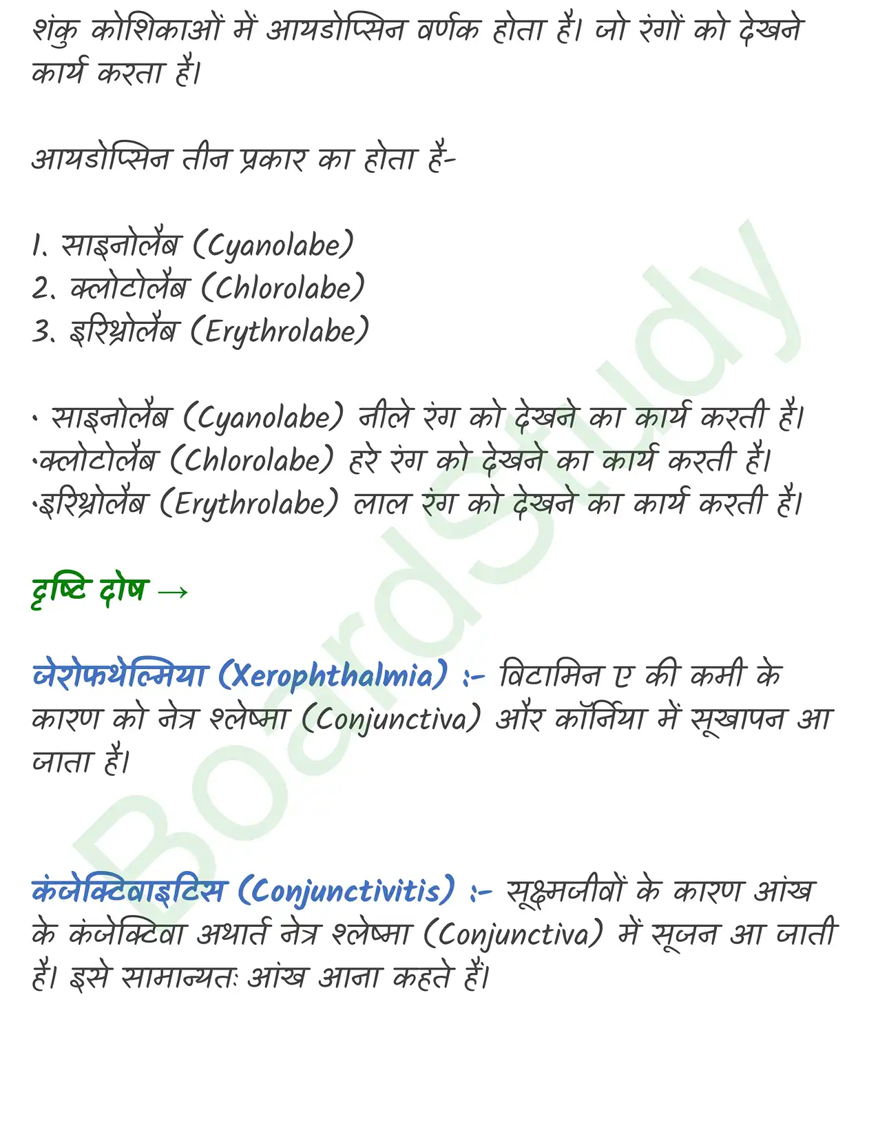 Chapter 18 Notes in Hindi तंत्रिकीय_नियंत्रण_एवं_समन्वय_page-0022