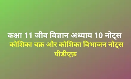 class-11-biology-cell-cycle-and-cell-division-notes-in-hindi