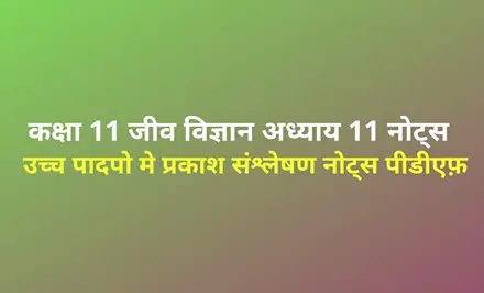 class-11-biology-photosynthesis-in-higher-plants-notes-in-hindi