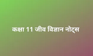 class 11 biology notes in hindi