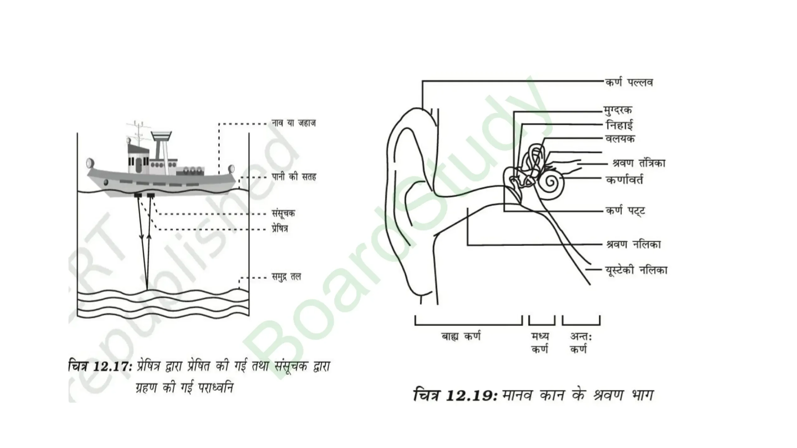 11. ध्वनि page 0023 scaled