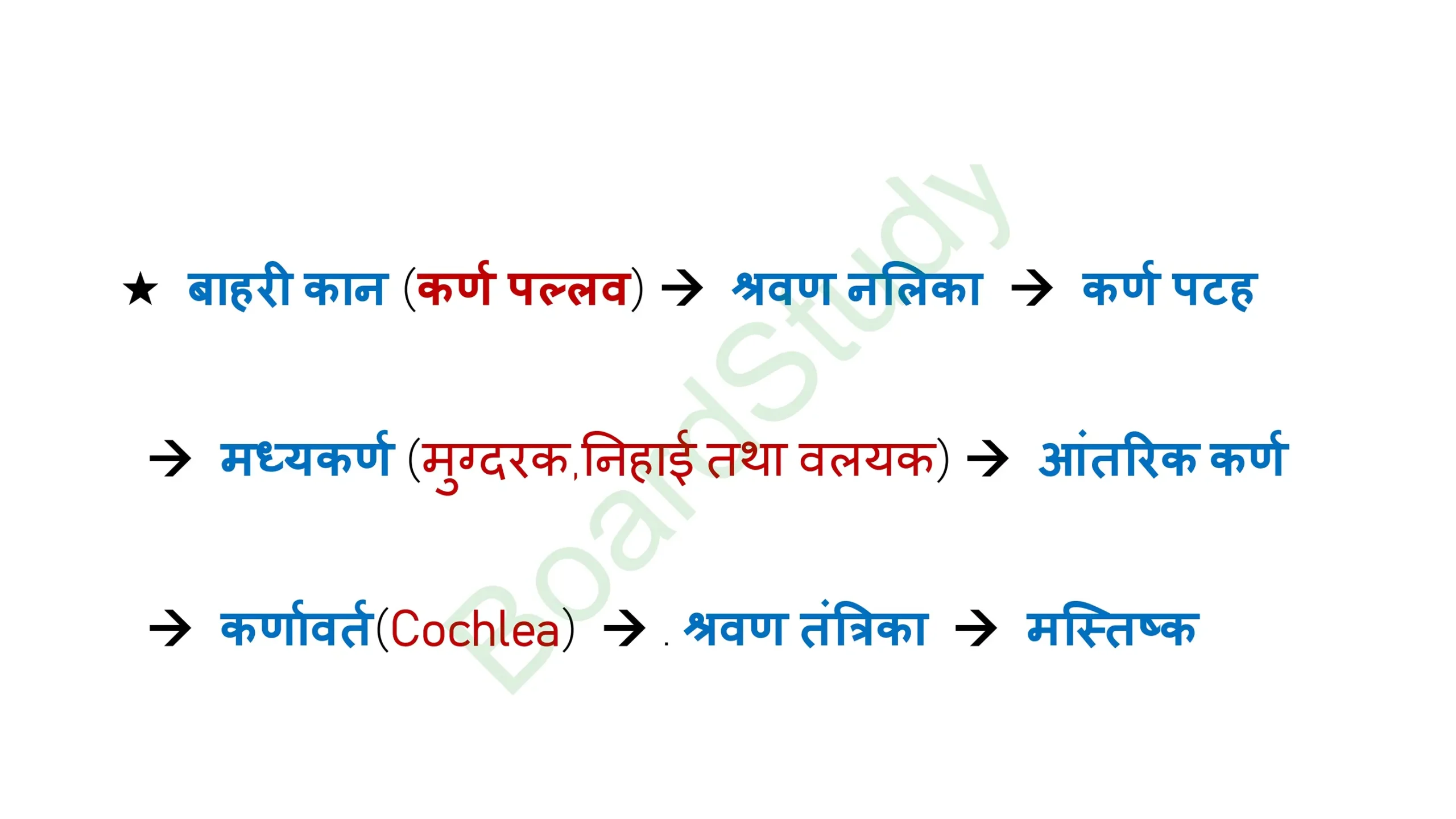 11. ध्वनि page 0024 scaled