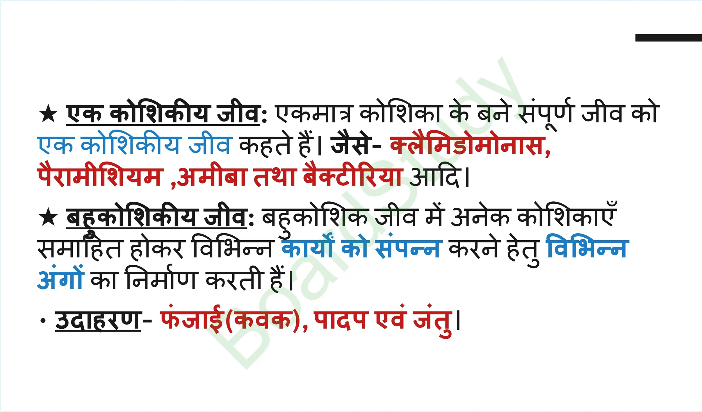 5. The Fundamental Unit of Life Tissues_page-0003