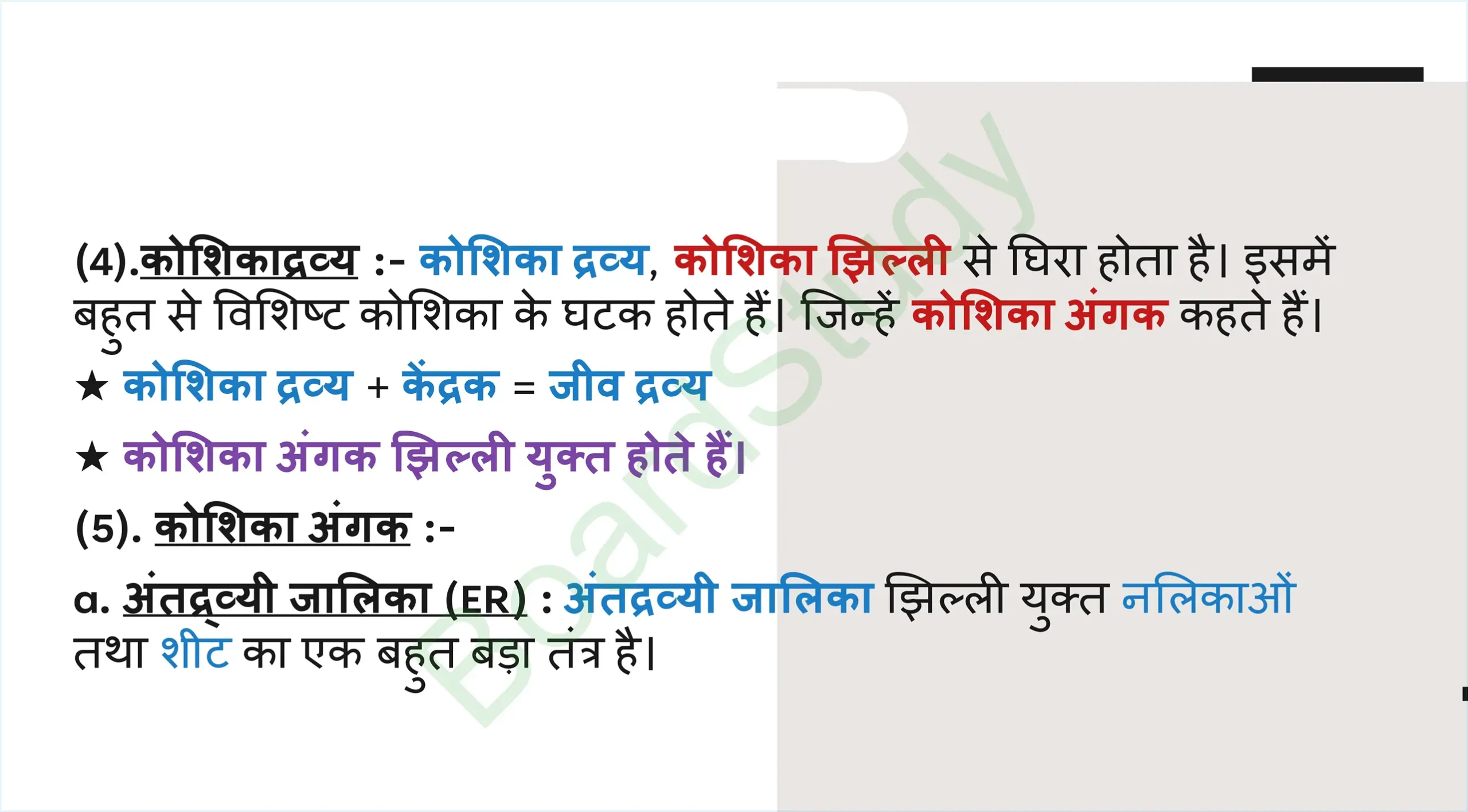 5. The Fundamental Unit of Life Tissues_page-0015