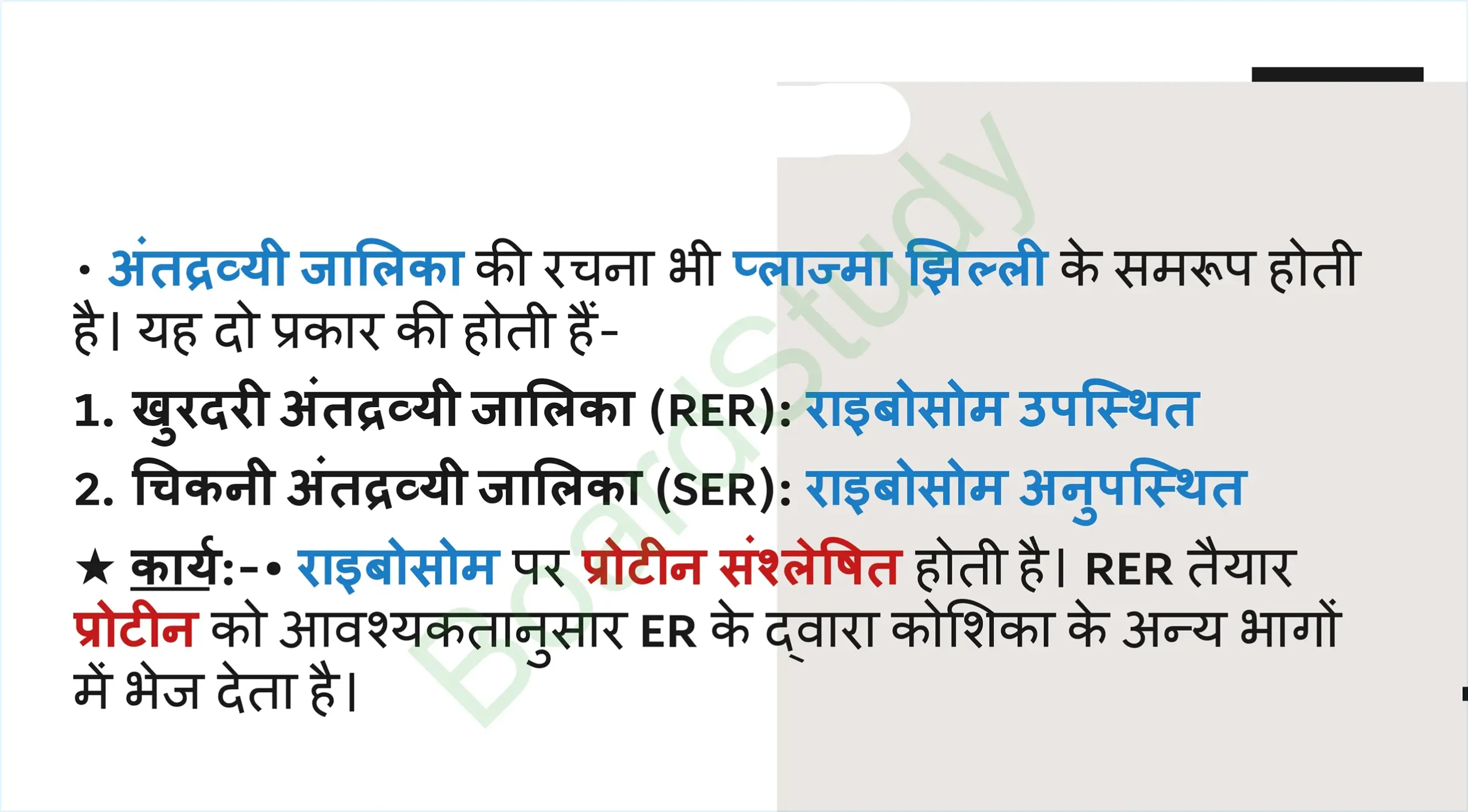 5. The Fundamental Unit of Life Tissues_page-0016