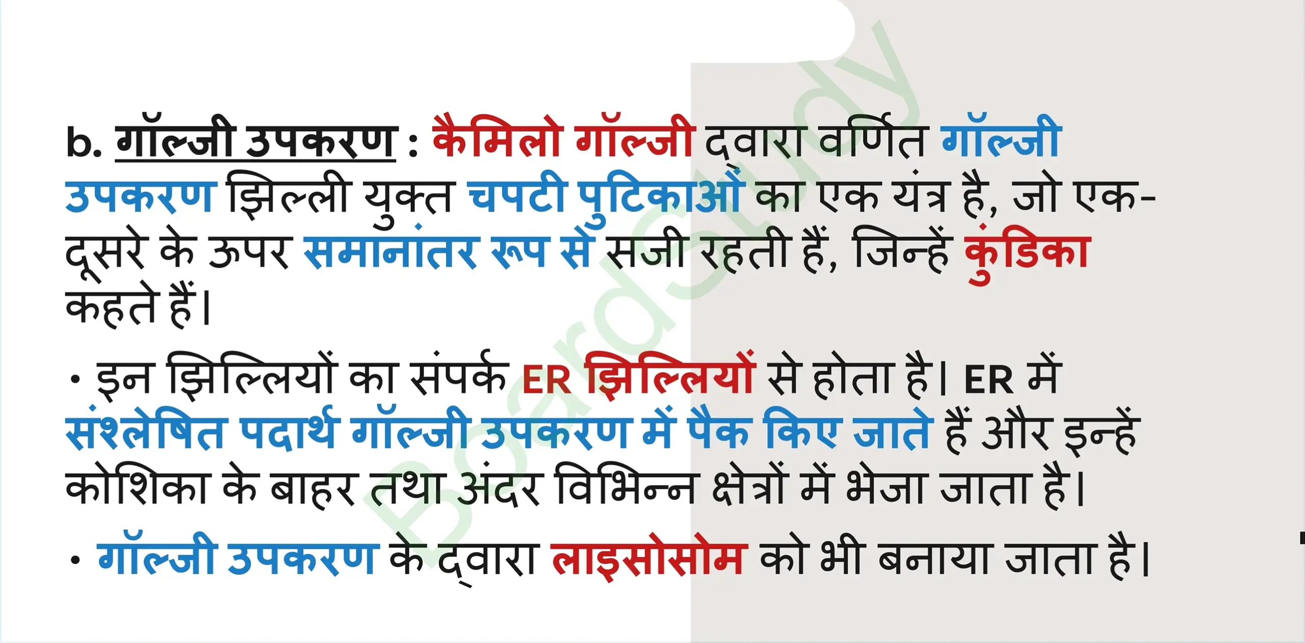 5. The Fundamental Unit of Life Tissues_page-0018