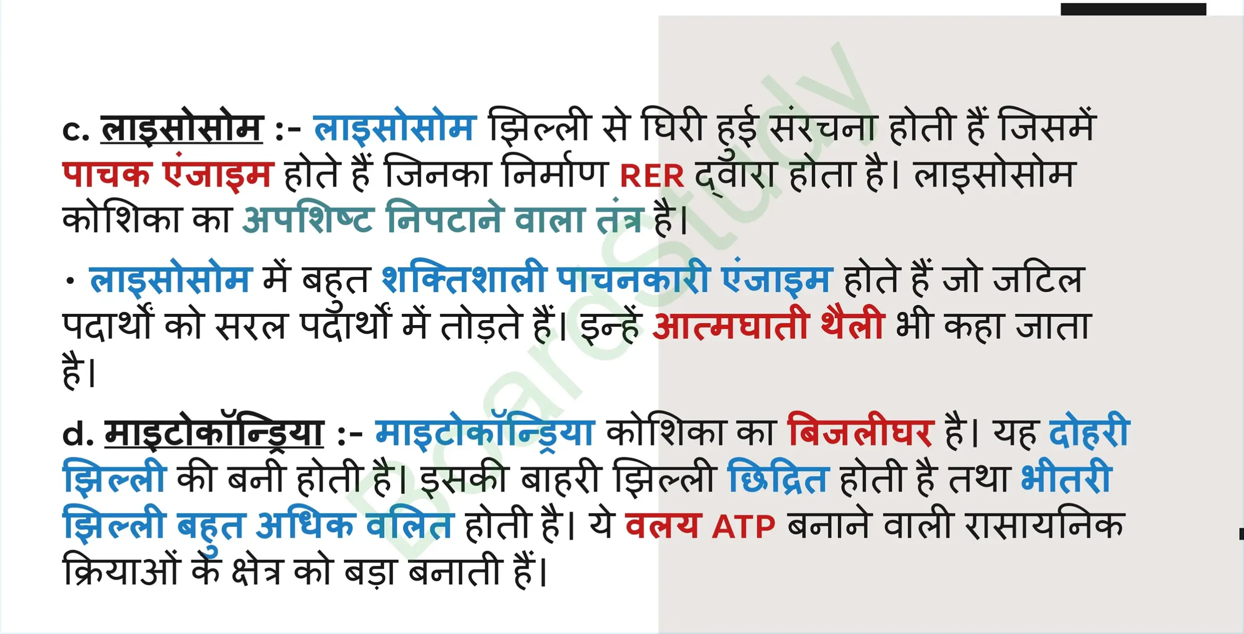 5. The Fundamental Unit of Life Tissues_page-0019