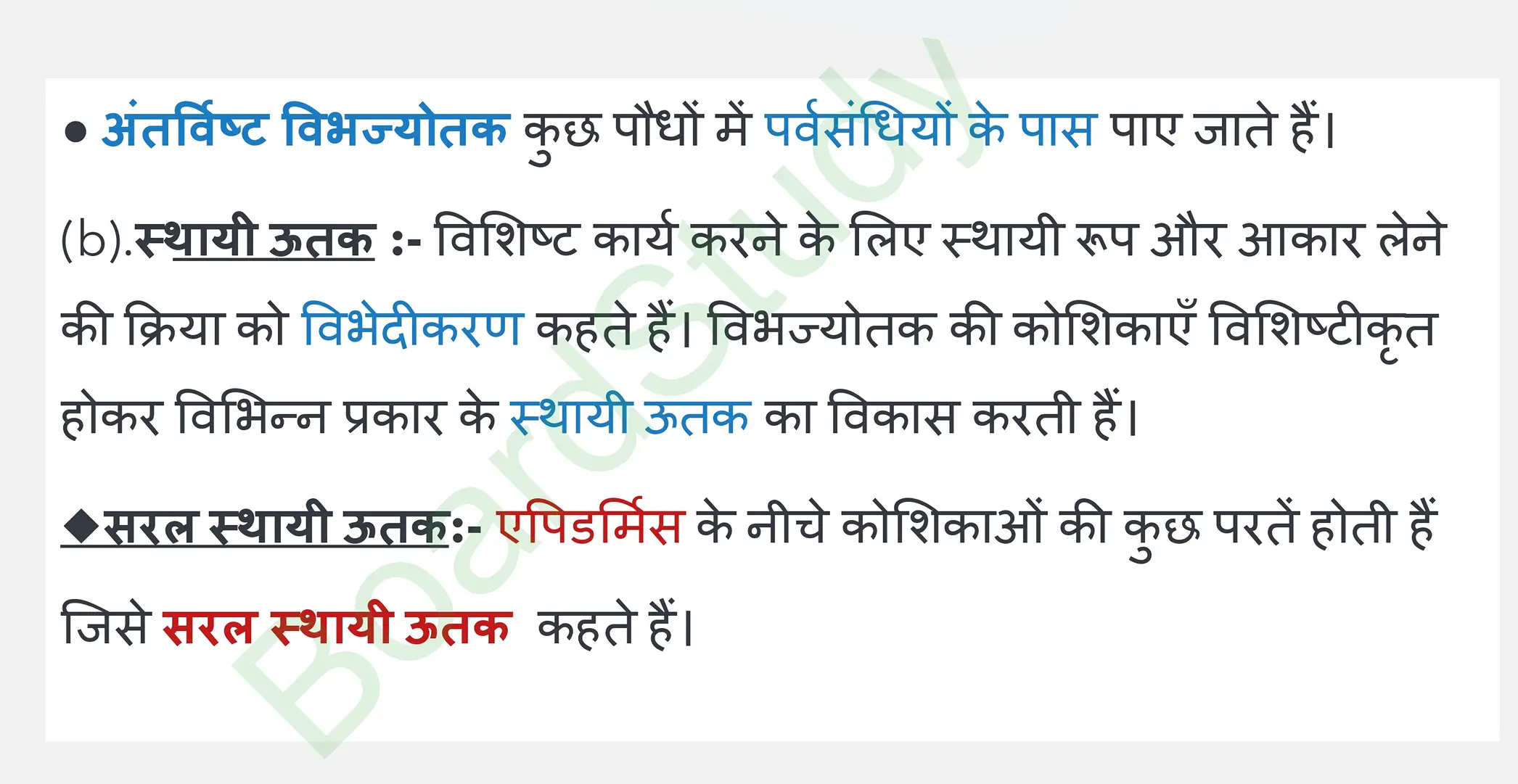 6. Tissues_page-0005